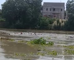 Perahu Penyeberangan Terbalik di Bengawan Solo Bojonegoro, 23 Orang Hanyut