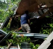 Korban Tertimpa Pohon Jadi 3 Orang, Ini Identitasnya