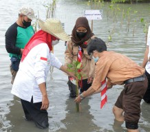 Jatim Kejar Target 34 Ribu Hektar Restorasi Mangrove