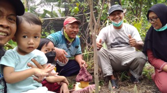 Bunga Bangkai Mekar di Perumahan Warga Sidoarjo