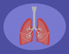 Pneumonia Rawan Dialami Balita, Tahun Ini Tercatat 211 Kasus di Kota Blitar