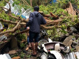 Pohon Besar Roboh Timpa Warkop di Trawas, 2 Tewas 7 Luka Berat