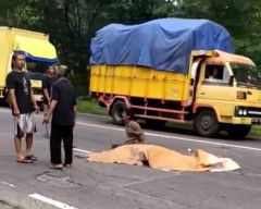 Truk Fuso vs Sepeda Motor di Madiun, Warga Ponorogo Tewas di Lokasi