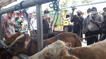 Pasar Hewan Terpadu Tulungagung Mulai Difungsikan