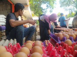 Harga Telur di Ponorogo Meroket hingga Rp 27 Ribu/Kg