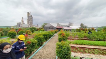 Alternatif Pengganti Batu Bara, SG Pabrik Rembang Manfaatkan Janggel Jagung Petani