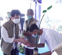 Tahun 2022, Penanaman Mangrove di Jatim Ditarget Bertambah 1.280 Hektar