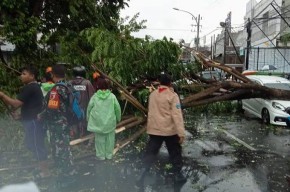 Angin Kencang Hajar Wilayah Jember, Seorang Warga Tewas dan Puluhan Rumah Rusak