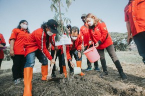 Ultah Megawati, PDIP Surabaya Tanam Pohon di Bantaran Sungai