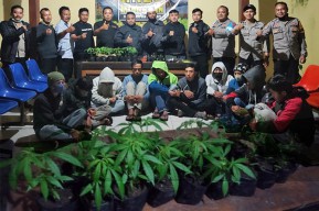 Gudang Ganja di Probolinggo Digerebek Polisi, 10 Orang Diamankan