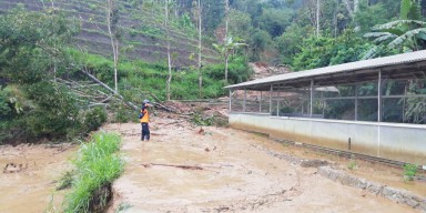 Selama 2021 Terjadi 214 Bencana Alam di Ponorogo