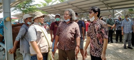 Baru Diresmikan, Pasar Hewan Tulungagung Disorot Dewan