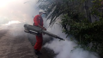 Penderita DBD Tulungagung Mencapai 43 Orang