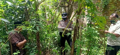 Jatuh Dari Pohon Setinggi 3 Meter, Kakek di Ponorogo Ini Meregang Nyawa