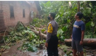 Hujan Disertai Angin, Rumah Warga Jetis Ponorogo Rusak Tertimpa Pohon