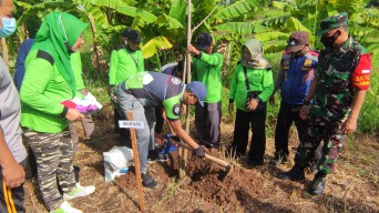 Pemkab Sidoarjo Hijaukan Kawasan Industri dan Wisata di Kecamatan Jabon