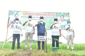 Lestarikan Lingkungan, Pemkab Lamongan Galakkan Penanaman Pohon Bambu
