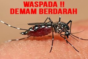 Bojonegoro Tertinggi Kasus DBD, Ini Imbauan Dinas Kesehatan