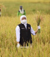 Gubernur Khofifah : Gapoktan di Jatim Butuh Dryer