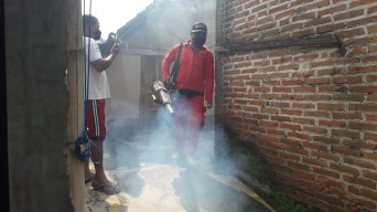 Sepanjang Januari 2022, 57 Warga Tulungagung Tertular DBD