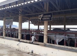 Wilayah Sekitar Waduk Sukodono Panceng Dipastikan Batal Jadi Kawasan Industri