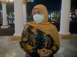 Harga Daging dan Tempe di Pulau Jawa Naik, Wilayah Jatim Masih Stabil