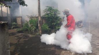 Selama 2 Bulan, Temuan Kasus DBD di Tulungagung 100 Lebih dengan 2 Kematian