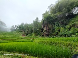 Kisah Horor! Sepasang Pengantin Hilang di Watu Semaur Ponorogo, Selalu Panggil Warga yang Melintas