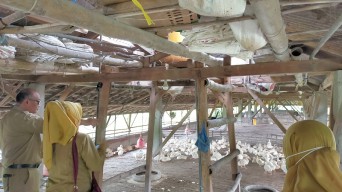Cek Perkembangan Ternak, Distan Lakukan Sidak ke Kandang