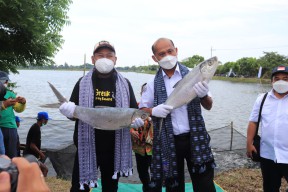 Dirjen Perikanan Budidaya KKP, Bersama Bupati Gresik Canangkan Kampung Perikanan Budidaya Desa Pangkah Wetan