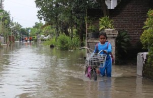 Hujan Deras di Jombang, Pemukiman di 3 Kecamatan Terendam Banjir