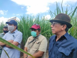 Komut PTPN XI Harap Produktivitas Gula Bisa Lebih Dioptimalkan Tahun Ini