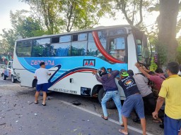 Kecelakaan Beruntun Bus Diseruduk Truk, Pemotor Meninggal Tergencet