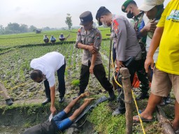 Mau Bunuh Tikus, Petani di Ngawi Malah Terbunuh Jebakannya Sendiri