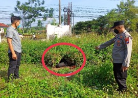 Polda Jatim Berhasil Tangkap Pelaku Pembunuhan Mahasiswa Unbraw