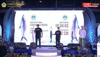 Juara Kontes Bandeng Gresik Dimenangkan Warga Pangkah Wetan, Beratnya 18 Kilogram