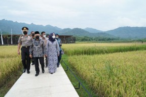 Destinasi Wisata Balkondes PGN Karangrejo Magelang Ditinjau Wapres Maruf Amin