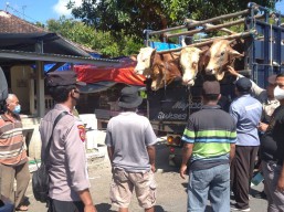 Angkut Sapi, 10 Truk Dilarang Masuk Ponorogo