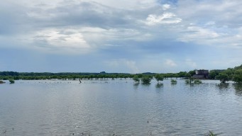 Banjir Rob Menggenangi Pulau Mengare, Ratusan Hektare Tambak Warga Terbenam