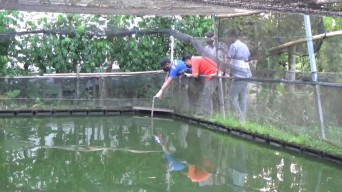 Keluar Rumah Sejak Siang Hari, Lansia Tulungagung ini Ditemukan Tenggelam di Kolam Gurame