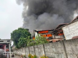 Pabrik Mebel di Trosobo Ludes Dilalap Sijago Merah