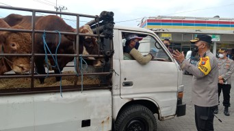Waspada PMK, Kendaraan Pengangkut Hewan Ternak di Sidoarjo Mulai Disekat