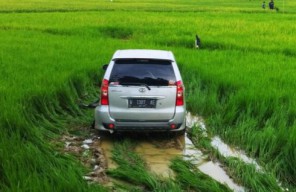 Tabrak Motor, Avanza Warga Gresik Nyungsep ke Sawah di Jalan Jrengik Sampang