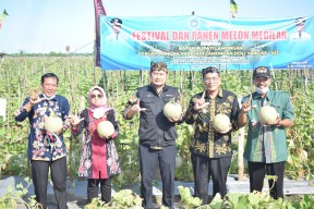 Festival Panen Melon Megilan, Jadikan Branding Hortikultura Lamongan