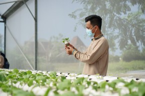 P4S Binaan PLN Ajari Santri Terapkan Pertanian Modern di Ponpes