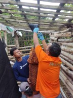 Depresi, Seorang Kakek di Jombang Gantung Diri