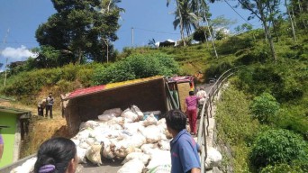 Muatan Overload, Truk Bermuatan Porang Gagal Menanjak di Ponorogo