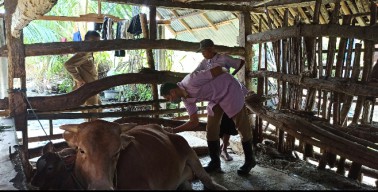 Tangani PMK, Pemkab Ponorogo Sediakan Dana Rp2 Miliar