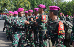 Sambut Kedatangan Satgasmar Mupe Papua, Komandan Brigif 2 Marinir : Selamat Bertemu Keluarga