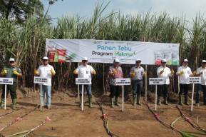 Petrokimia Gresik Dukung Peningkatan Produktivitas Tanaman Tebu